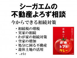 不動産相談 &「日本一のトマトカレー」1箱